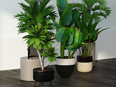 现代植物组合3d模型