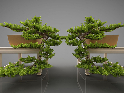 3d新中式风格盆栽盆景模型