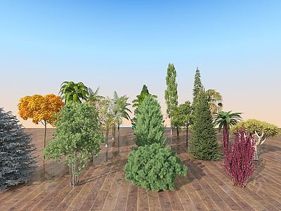 现代室外景观树木组合模型3d模型