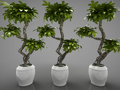 现代植物盆栽组合模型