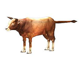 3d家牛模型