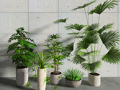 植物盆栽组合3d模型