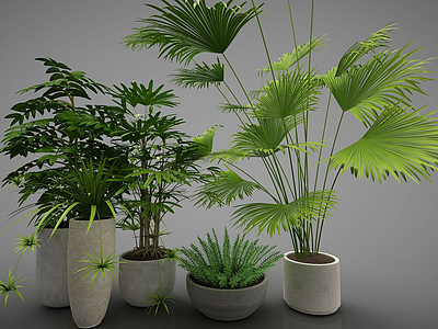 3d现代<font class='myIsRed'>绿色植物</font>盆栽模型