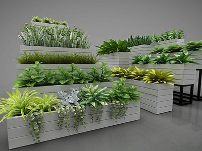 3d植物盆栽摆件模型