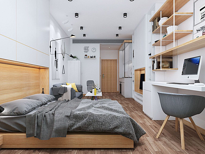 3d单身公寓简约风格模型