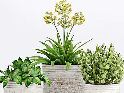 植物模型3d模型