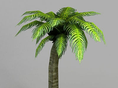 3d魔兽世界热带树装饰模型