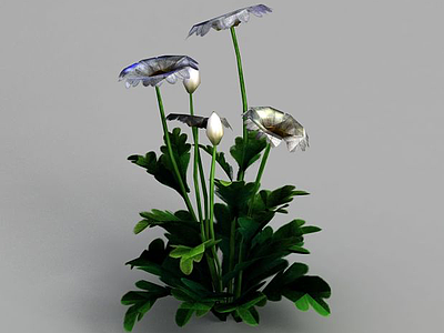 魔兽世界灌木花丛装饰模型3d模型