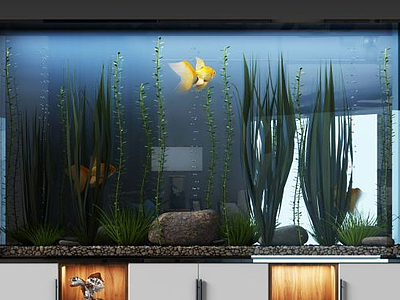 鱼缸水族3d模型
