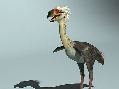 3d恐鹤恐龙模型
