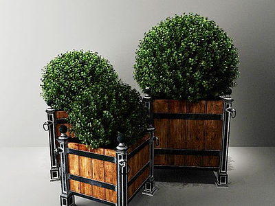3d室外植物模型