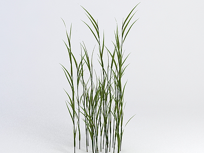 花草绿植模型3d模型