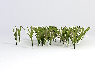 3d草坪绿草模型