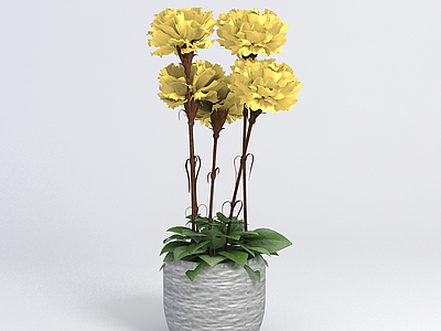 C4D花卉盆栽3d模型模型