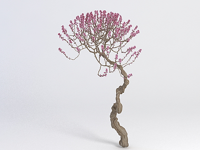 花卉模型3d模型