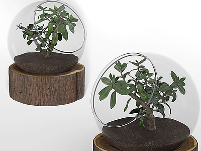 3d现代桌面摆件玻璃盆栽模型