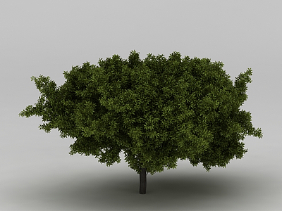茂盛乔木模型3d模型