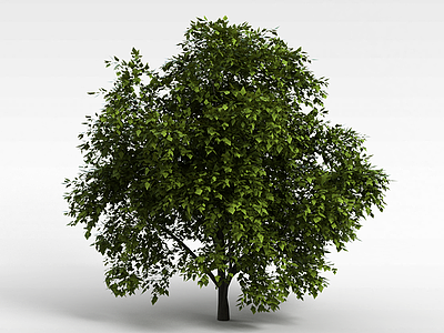 树木模型3d模型
