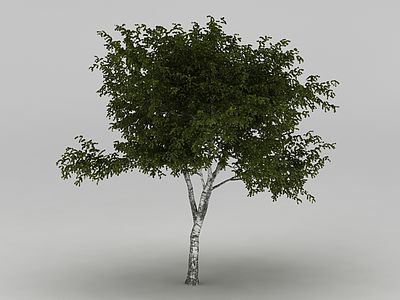 3d树免费模型