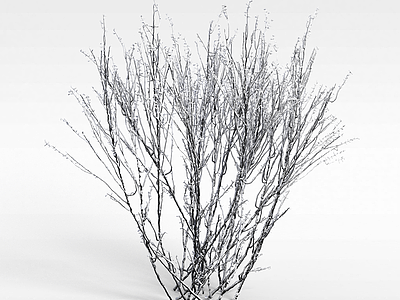 冬天的灌木模型