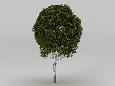 树模型3d模型