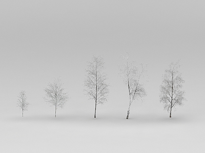3d冬天的白桦树免费模型