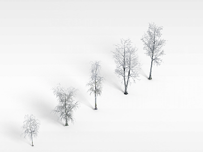 3d冬天杨树模型