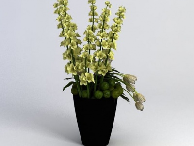 装饰植物3d模型