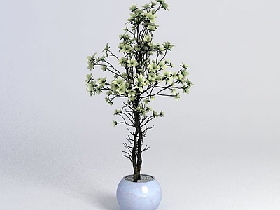 绿植盆栽模型3d模型