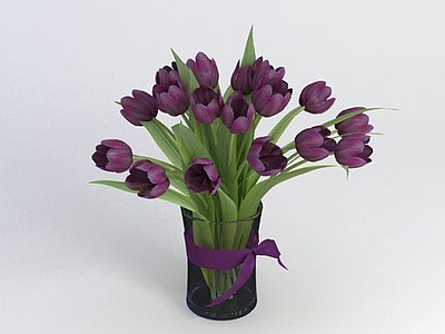 紫色郁金香3d模型