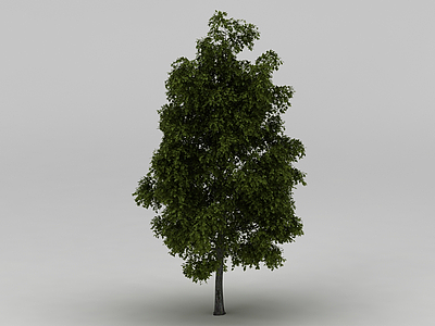 3d绿树模型