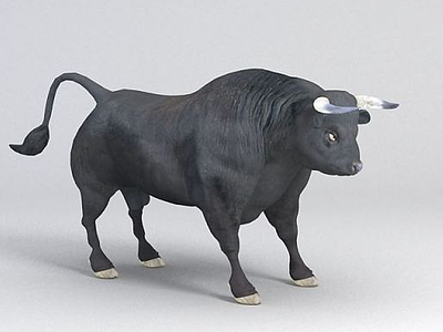 3d黑牛模型