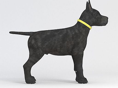 3d黑狗模型