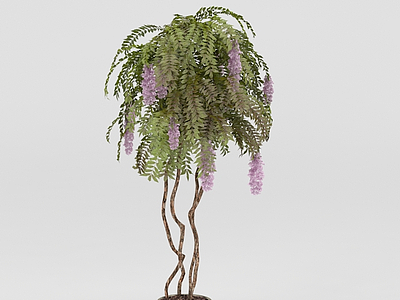 丁香树盆栽模型