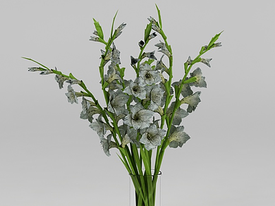 鲜花花瓶模型3d模型