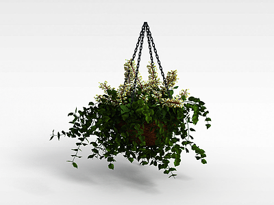 3d吊兰花盆模型