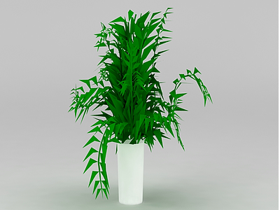 3d室内绿植装饰免费模型