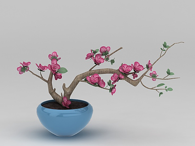 3d仿真花卉盆景免费模型