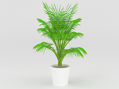 室内绿植盆栽模型3d模型