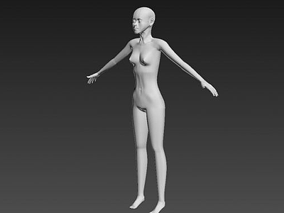 3d仿真女性人体模型