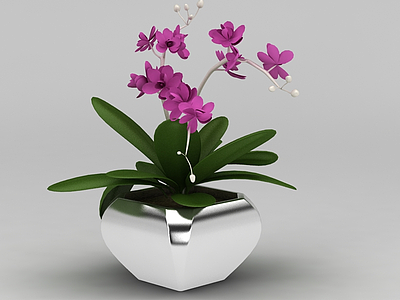 室内花卉装饰品模型3d模型