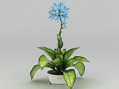 室内花卉盆栽模型3d模型