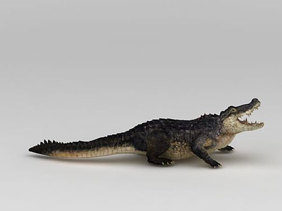 鳄鱼3d模型