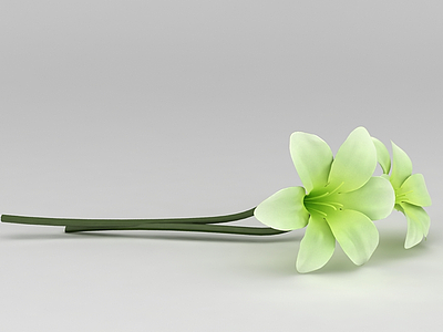 3d绿色花朵模型
