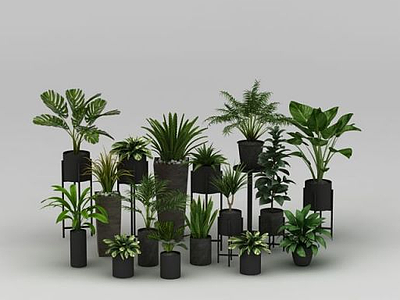 3d植物盆栽组合模型