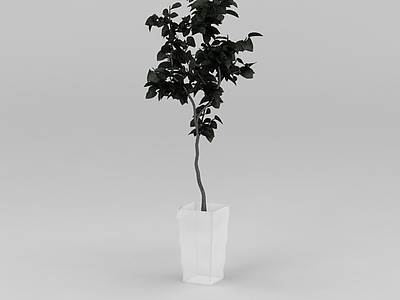 3d花盆树免费模型