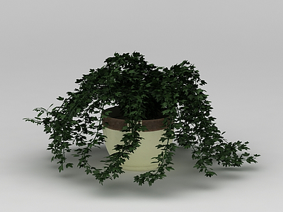 3d庭院花盆绿植免费模型