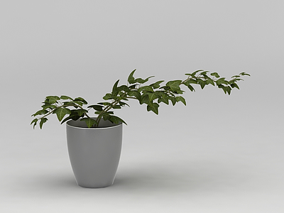 3d绿植花盆免费模型