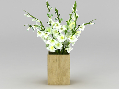 装饰花卉模型3d模型