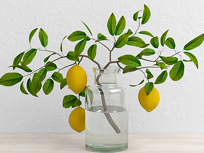 柠檬植物模型3d模型